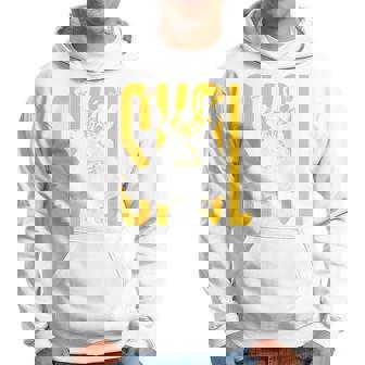Scandinavian Pride Minnesota Pride Hoodie - Seseable