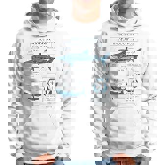 Whale Shark Anatomy Marine Biologist Whale Shark Costume Hoodie | Mazezy