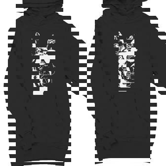 Cool Donkey With Sunglasses For Men Women Kids Boys Girls V2 Youth Hoodie - Monsterry