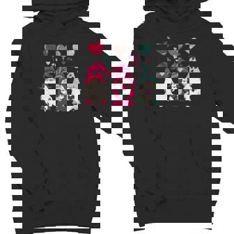 Three Gnomes Holding Hearts Valentines Boys Girls Kids Youth Hoodie - Monsterry