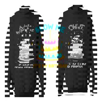 Adult Birthday Blow Me Its My Birthday Birthday Cake Sweatshirt - Thegiftio UK