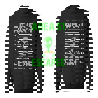 Alien Conspiracy Theory Ufo Believer Halloween Costume Sweatshirt - Thegiftio