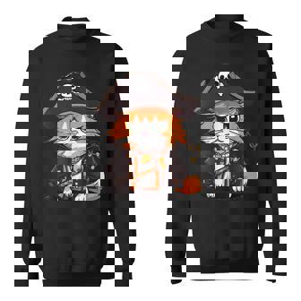 Cat Pirate Halloween Costume Cat Lover Kitten Cats Sweatshirt - Monsterry