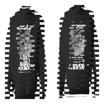 Chonky Cat Heavy Breathing Meme I Have Plans Sweatshirt - Monsterry