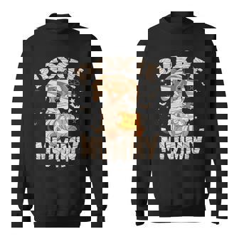 Dachshund Dog Lover Lazy Halloween Costume Doxie Mummy Sweatshirt - Thegiftio UK