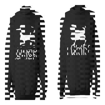 Dachshund Low Rider For Dog Lovers Sweatshirt - Monsterry