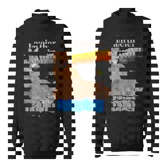 I Am Either Yapping Or Napping Sweatshirt - Thegiftio UK