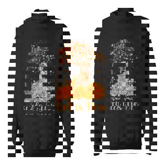 Fall Is Here Golden Retriever On Autumn Leaf Pumpkin Sweatshirt - Monsterry