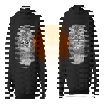 Fluffy Orange Cat Face Sweatshirt - Monsterry
