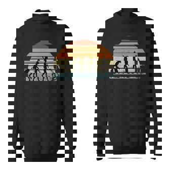 Futuro Padre Evoluzione Futuro Papà Divertente Regalo Maglie Felpa - Novitaregali