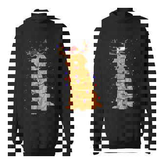 Golden Retriever Christmas Reindeer Lights Santa Hat Dog Sweatshirt - Monsterry