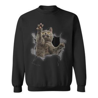 Grey Cat Torn Cloth Cat Dad Cat Mom Cat Lover Sweatshirt - Thegiftio UK