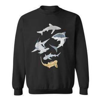 Hammershark Zebra Shark Shark Types Of Sharks Sweatshirt - Geschenkecke