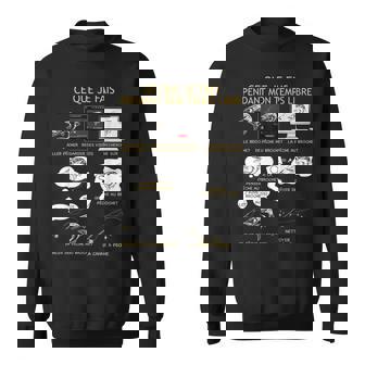 Homme Pêcheur De Brochet Temps Libre Humour Sweater e - Cadeauxyz