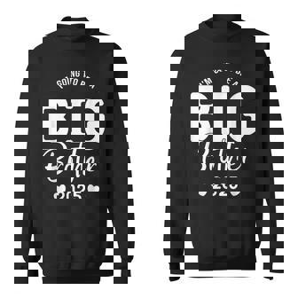 I'm Going To Be A Big Brother Promoted To Big Brother 2025 Sweatshirt - Monsterry