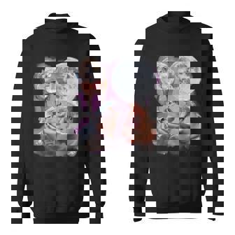 Moo Deng With The Moon Memes Sweatshirt - Thegiftio