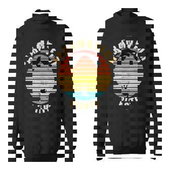 Pilote De ParamoteurIntage Coucher De Soleil Prm Sweater e - Cadeauxyz