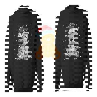 Pretty Cool Teddy With Santa Claus Hat For Bears And Xmas Sweatshirt - Thegiftio UK