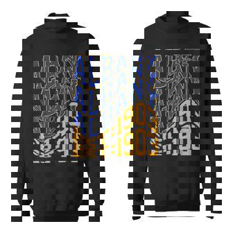 Retro Albany Wave Text City Vintage State Sweatshirt | Mazezy