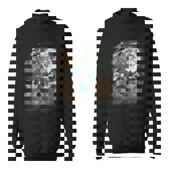 Three Racoons Howling The Moon Raccoon Sweatshirt | Mazezy