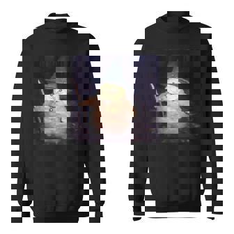 Vintage Witch Cat Peekaboo Halloween Cat Meme Weird Sweatshirt | Seseable UK