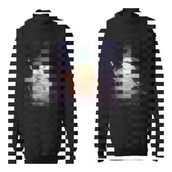 Wizard Cat Weird Halloween Cat Meme Sweatshirt | Seseable UK