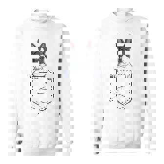 Boston Terrier In The Pocket Cute Boston Terrier Dog Lovers Sweatshirt | Seseable UK