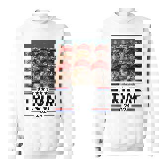 Donald Trump Make Cats Safe Again 2024 Debate Sweatshirt | Mazezy