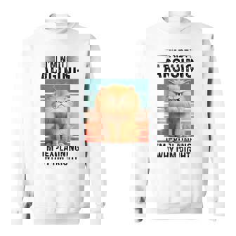 I'm Not Arguing I'm Explaining Why I'm Right Fluffy Cat Sweatshirt - Monsterry