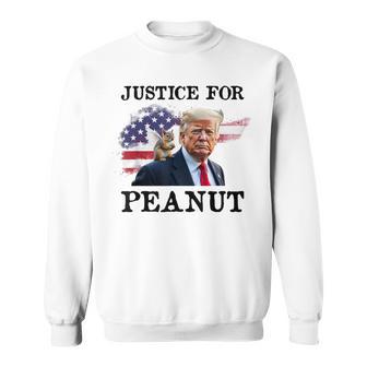 Peanut P’Nut Pnut Justice For Peanut The Squirrel 2024 Sweatshirt - Thegiftio UK