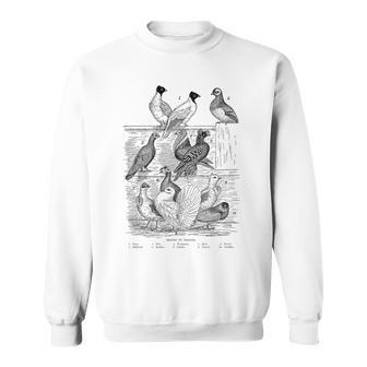 Pigeonintage Breeds Of Pigeons For Pigeon Lover Sweatshirt - Geschenkecke