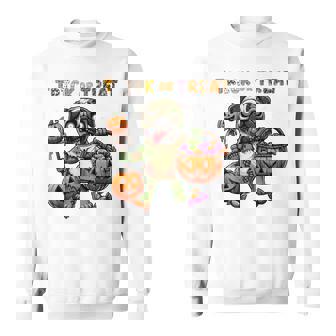 Trick Or Treat Costume Pug Horror Zombie Halloween Candies Sweatshirt - Thegiftio UK