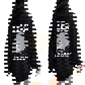 Ibs I Be Shittin' Raccoon Offensive Sarcastic Women Oversized Hoodie Back Print - Seseable