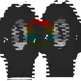 Retro Vintage Cat V3 Youth Sweatshirt - Monsterry