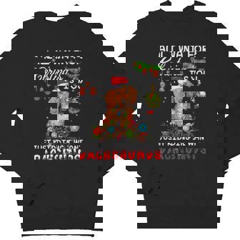 All I Want For Xmas Is You Just Kidding I Want Dachshund Youth Sweatshirt - Monsterry