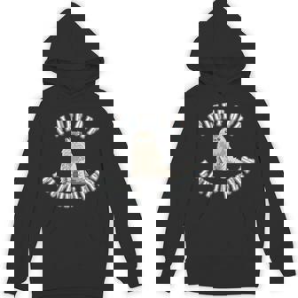 Fluff Off You Fluffin' Fluffer Fluffy Cat Unisex Hoodie - Monsterry