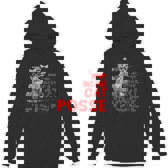 Insane Cat Posse Cute Kitten Cat Lover Sarcasm Graphic Unisex Hoodie - Monsterry