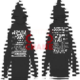 Ladle Crane Operator Job Colleague And Coworker Institute Unisex Hoodie - Monsterry