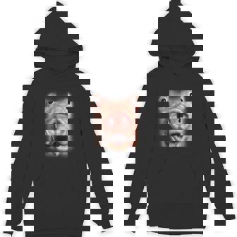Pig Face Oddly Specific Dank Meme Unisex Hoodie - Monsterry