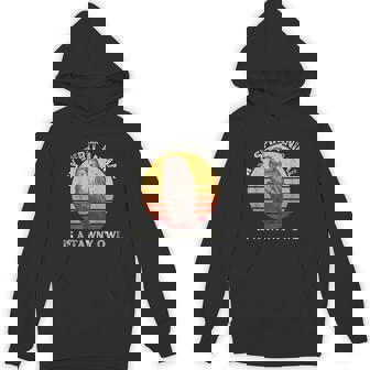 Vintage Tawny Owl My Spirit Animal Is a Tawny Owl Lover Unisex Hoodie - Monsterry