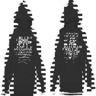 I Wish I Was A Cat No Bills No Job Just Meow Meow Cat Lover Unisex Hoodie - Monsterry