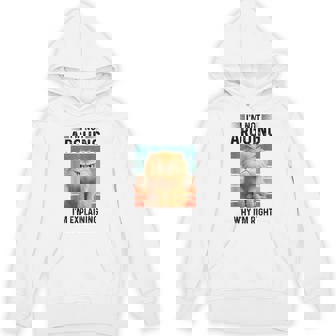 I'm Not Arguing I'm Explaining Why I'm Right Fluffy Cat Unisex Hoodie - Monsterry
