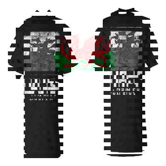Bandera De Gales Dragón Galés Cymru Am Byth Galés Camiseta unisex - Regaloses