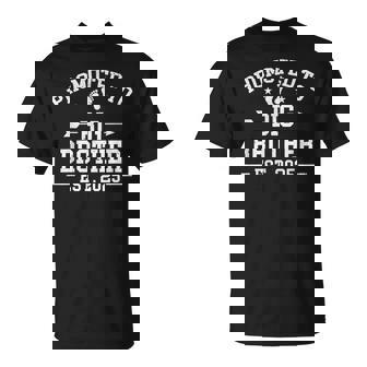 Big Brother 2025 Finally Promoted To Big Brother 2025 T-Shirt - Thegiftio