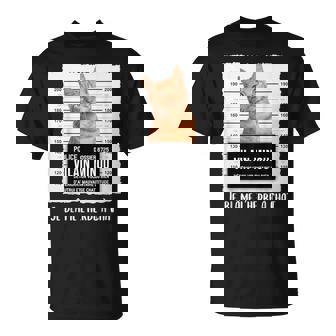 Chat Roux Cadeau Drôle Humoristique Pour T-Shirt - Cadeauxyz