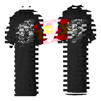 Drapeau Espagnol Pour Fan De L'espagne T-Shirt - Cadeauxyz