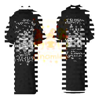 Thanksgiving With My Gnomies Thanksgiving Gnomies Lover T-Shirt | Mazezy