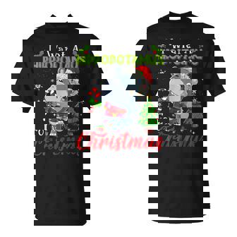 I Want A Hippopotamus For Christmas Shirt Hippo Candy Santa T-shirt - Monsterry