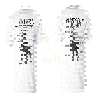 Anatomy Doberman Dog Lover Doberman Pinscher Owner T-Shirt - Monsterry