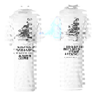 I Understand The Assignment Chucks And Pearls For Women T-Shirt - Seseable